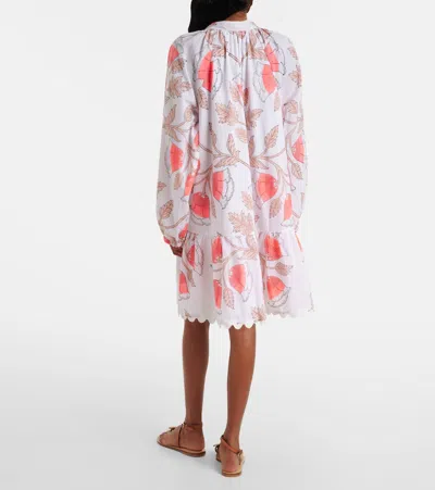 Juliet Dunn Printed Scalloped Cotton Minidress In Multi