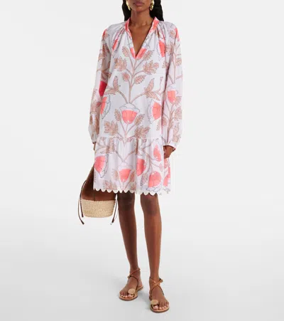 Juliet Dunn Printed Scalloped Cotton Minidress In Multi