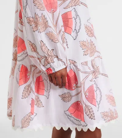 Juliet Dunn Printed Scalloped Cotton Minidress In Multi
