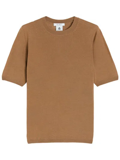 Max Mara Crew Neck Wool Sweater With Short Sleeves In Brown