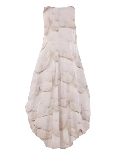 Maria Calderara Printed Sleeveless Dress In Pink