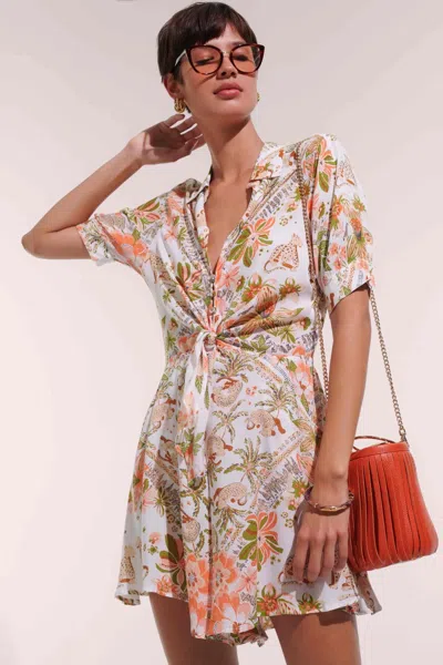 Poupette St Barth Bettina Print Tie Front Cover-up Minidress In Multi