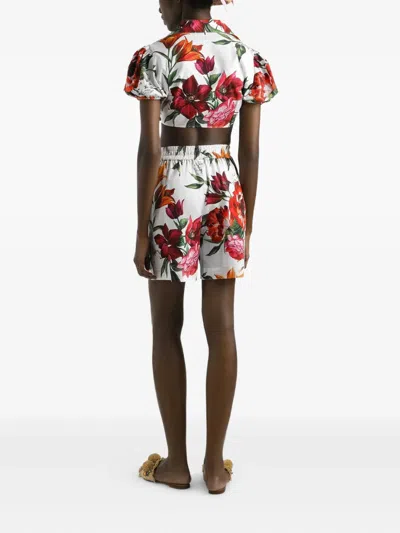 Dolce & Gabbana Anemone Floral Popeline Puff-sleeve Tie Crop Shirt