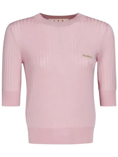 Marni Ribbed Knit Top With Fitted Silhouette