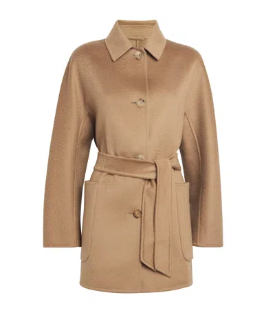 Max Mara Cashmere Lembi Short Coat In Brown