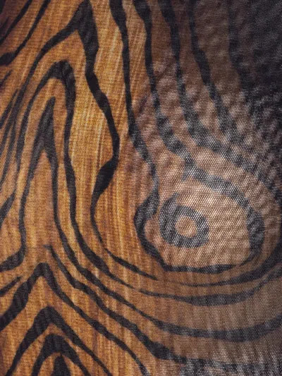 Jean Paul Gaultier Tiger-print Mesh Bodysuit In Brown