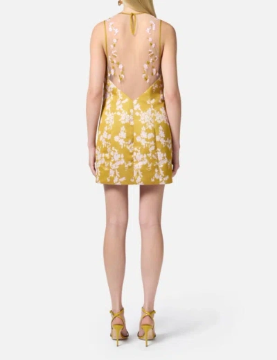 Elisabetta Franchi Printed Duchesse And Tulle Dress In Yellow