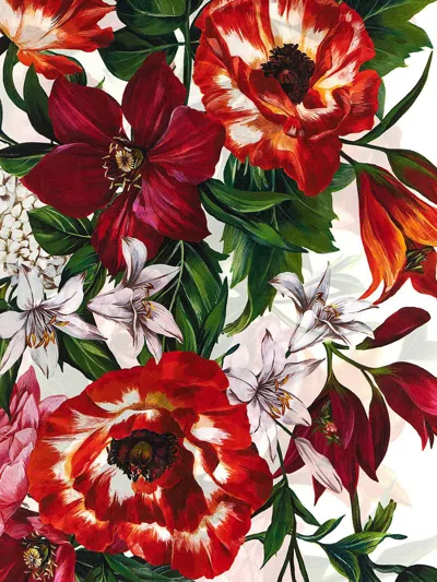Dolce & Gabbana Floral Print Scarf Scarves And Foulards Multicolor