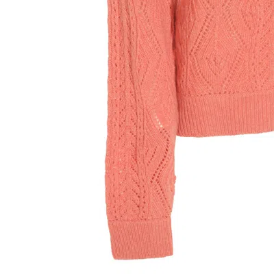 Etro Pink Cotton Knitwear In Pink