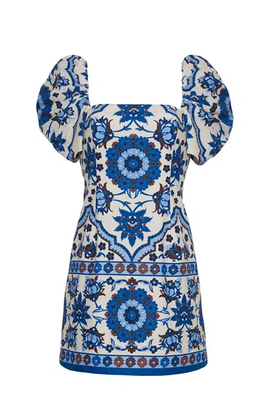 Cara Cara New York Kelly Dress
