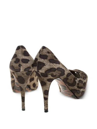 Pre-owned Dolce & Gabbana 115mm Leopard-print Sandals