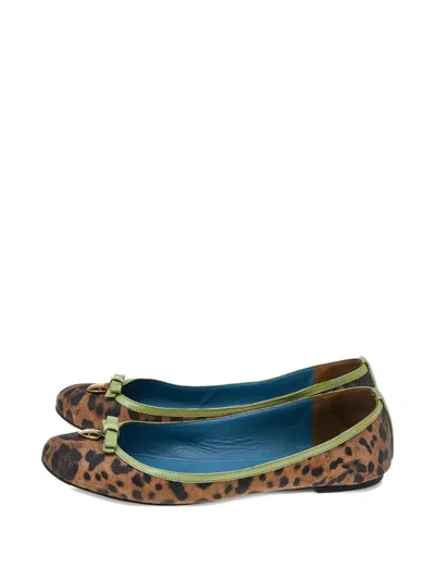 Pre-owned Dolce & Gabbana Leopard-print Bow Flats