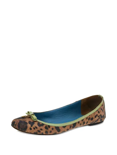 Pre-owned Dolce & Gabbana Leopard-print Bow Flats
