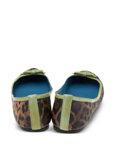 Pre-owned Dolce & Gabbana Leopard-print Bow Flats