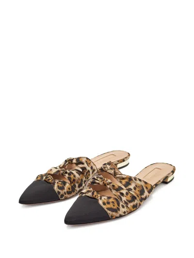 Pre-owned Aquazzura  Leopard-print Mules In Black