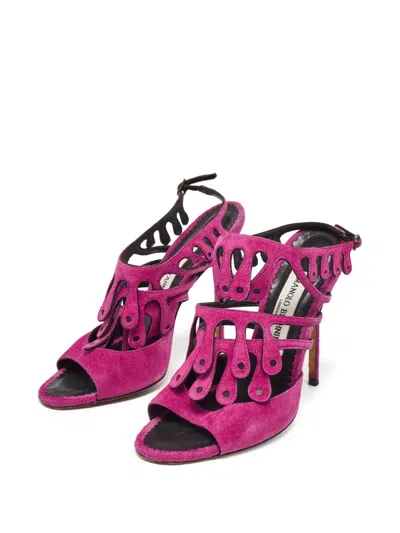 Pre-owned Manolo Blahnik  110mm Toubib Cut-out Suede Sandals In Purple