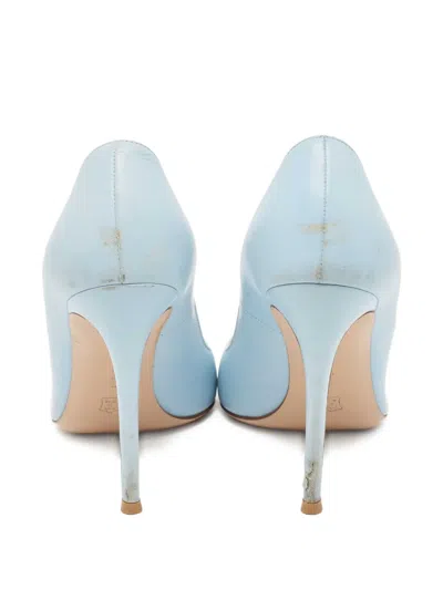 Pre-owned Gianvito Rossi  120mm Gianvito Pointed-toe Pumps In Blue