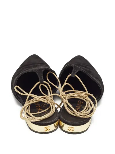 Pre-owned Chanel Pointed-toe Ballet Flats