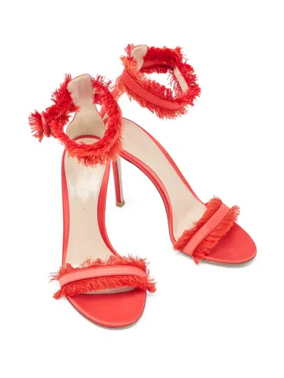 Pre-owned Gianvito Rossi Fringe-embellished Stiletto Heels