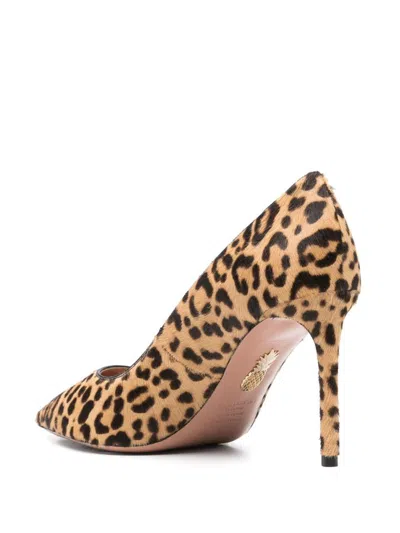 Aquazzura With Heel In Animal Print