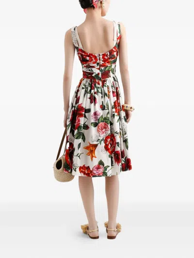 Dolce & Gabbana Women Midi Dress With Red Roses On A White Background In Multi