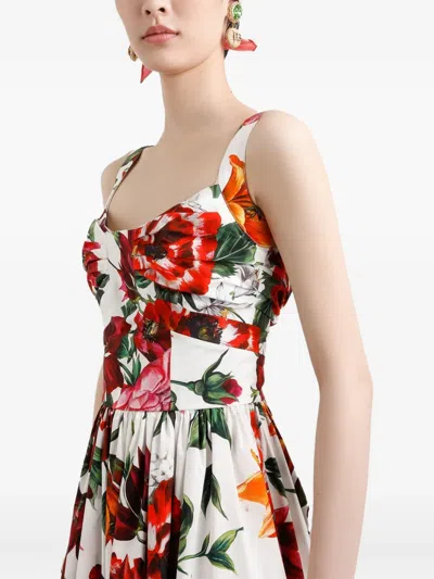 Dolce & Gabbana Women Midi Dress With Red Roses On A White Background In Multi
