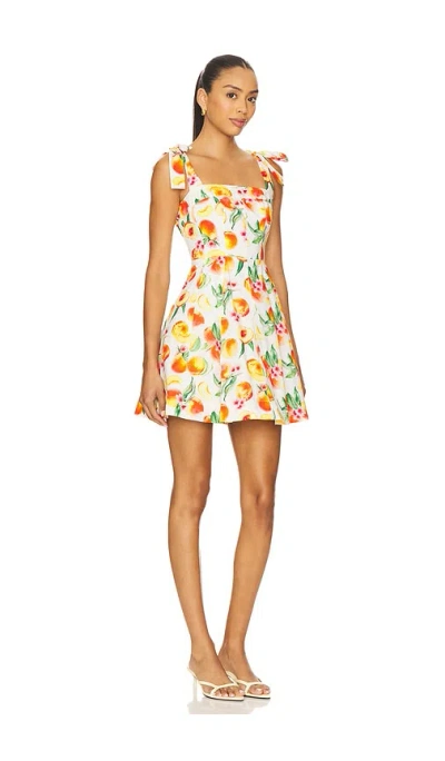 Astr The Label Tinesha Tie Strap Cotton Mini Sundress In Multi