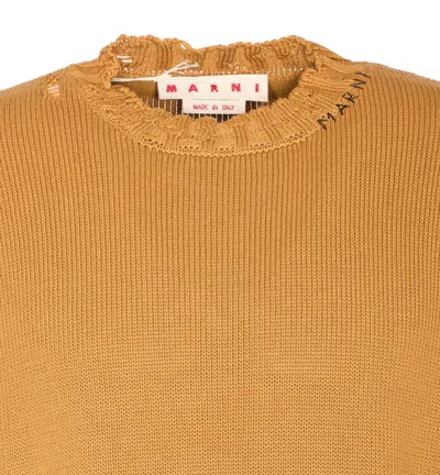 Marni Distressed Long Sleeve Ruffled Neckline Sweater