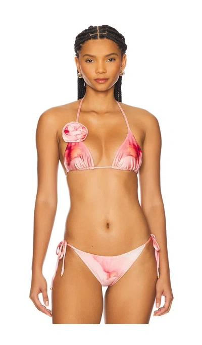 Boamar Sun Bikini Top In Pink