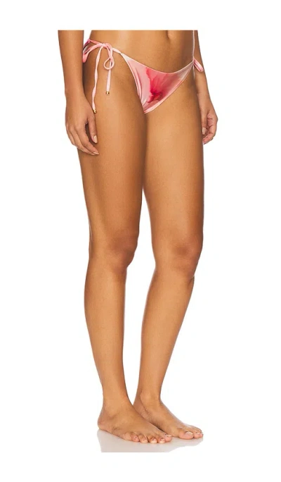Boamar Naos Bikini Bottom In Pink