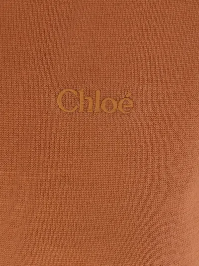 Chloé Crewneck Knitewear Knitwear Brown In Brown