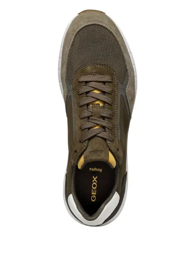 Geox Branthon Panelled Sneakers In Green