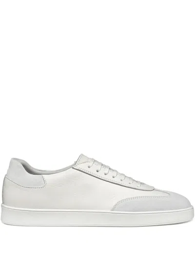 Geox Regio Leather Sneakers In White