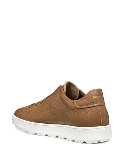 Geox Spherica Ecub-1 Man Toffee In Brown