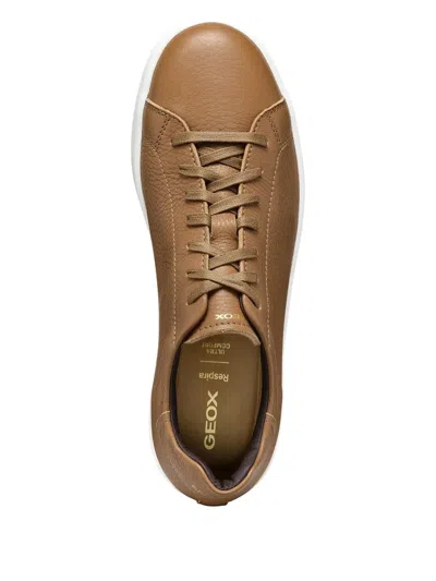 Geox Spherica Ecub-1 Man Toffee In Brown