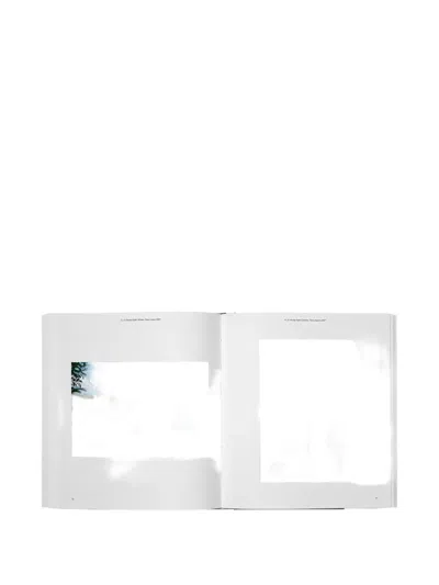 Phaidon Press Tadao Ando: Light And Space Book In Gray