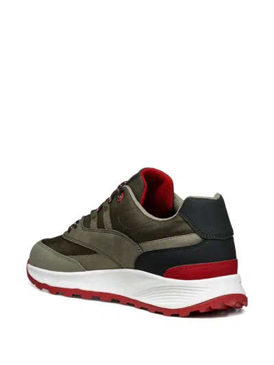 Geox Terrestre Panelled Lace-up Sneakers In Green