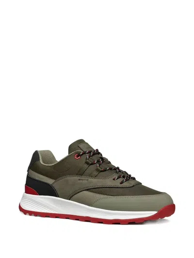 Geox Terrestre Panelled Lace-up Sneakers In Green