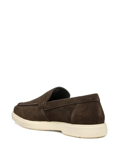 Geox Spherica Ec17 Man In Brown