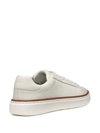 Geox Zackerty Sneakers In White