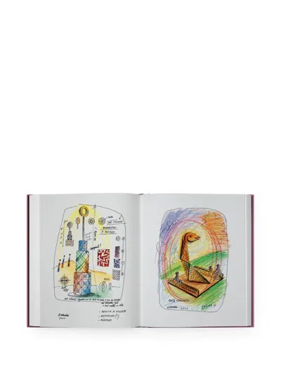Phaidon Press Alessandro Mendini: Imagination Takes Command Book In Pink