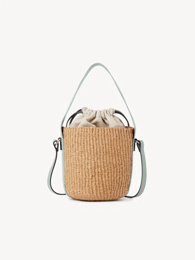 Chloé Small Horse Medal Basket In Natural Fibers
