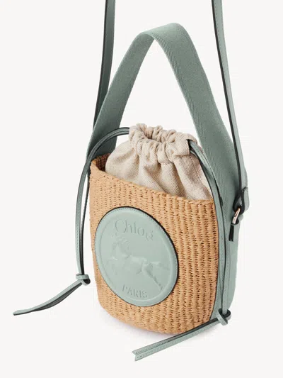 Chloé Small Horse Medal Basket In Natural Fibers