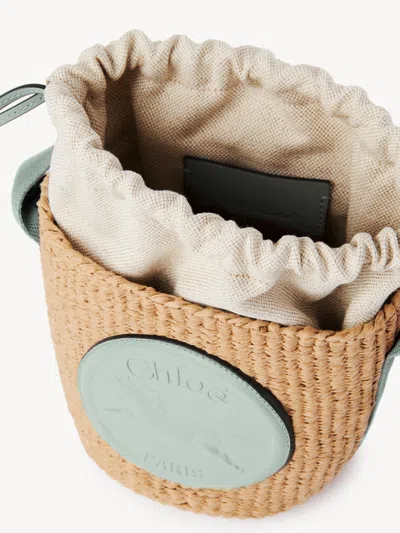 Chloé Small Horse Medal Basket In Natural Fibers