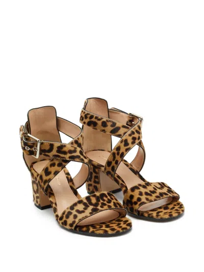 Pre-owned Gianvito Rossi  60mm Leopard-print Sandals