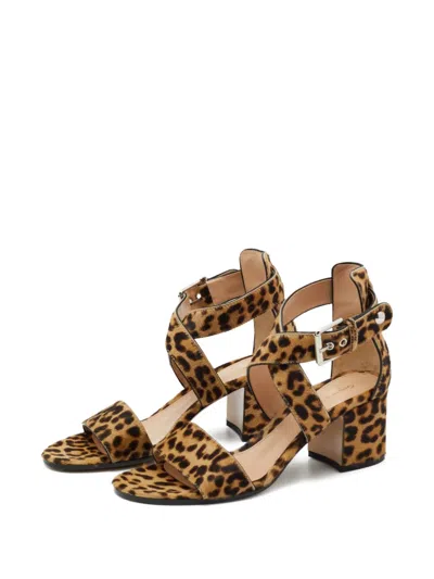 Pre-owned Gianvito Rossi  60mm Leopard-print Sandals