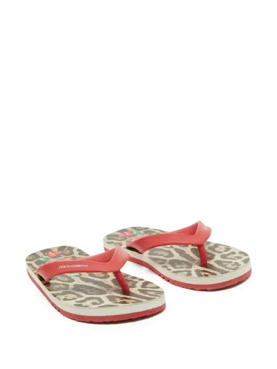 Pre-owned Dolce & Gabbana Leopard-print Flip Flops