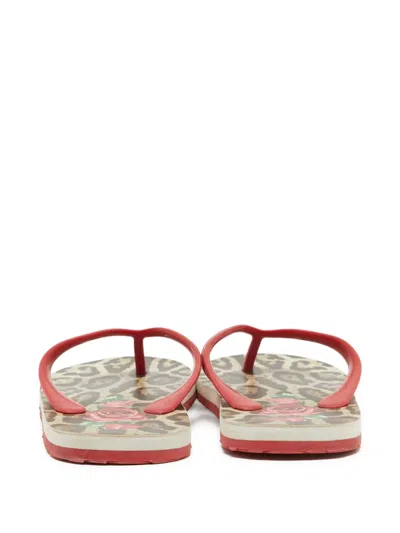 Pre-owned Dolce & Gabbana Leopard-print Flip Flops