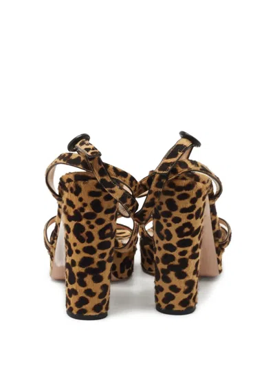 Pre-owned Gianvito Rossi  125mm Leopard-print Sandals