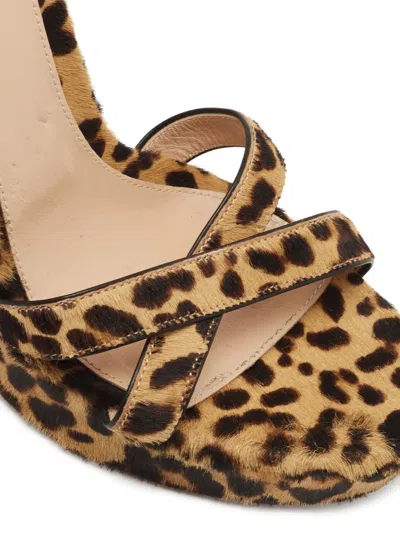 Pre-owned Gianvito Rossi  125mm Leopard-print Sandals